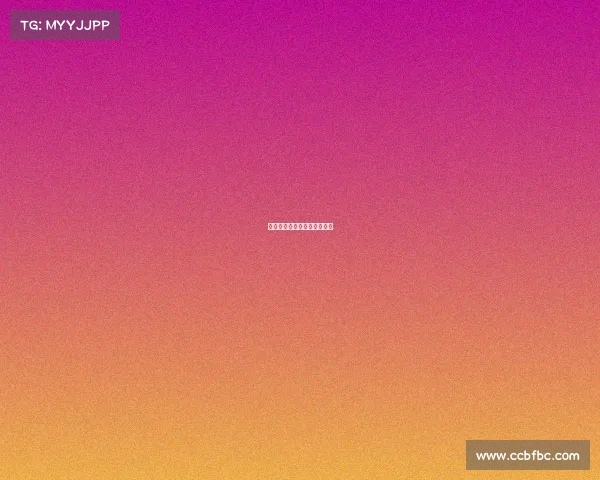 久经赛事考验、久竞冠军阵容